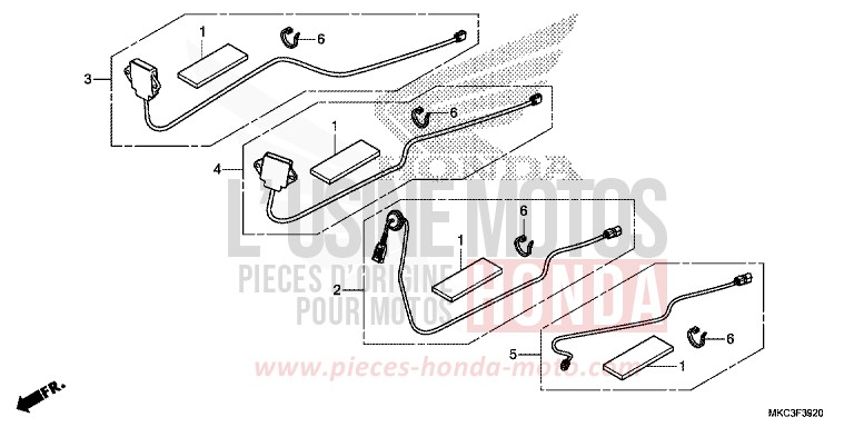 ENSEMBLE ANTENNE/JEU DE CORDONS for Gold Wing CANDY ARDENT RED (R367B) from 2018
